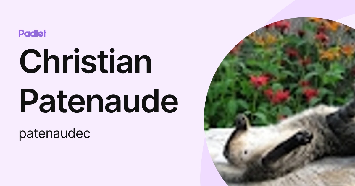 Christian Patenaude (patenaudec) profile | Padlet