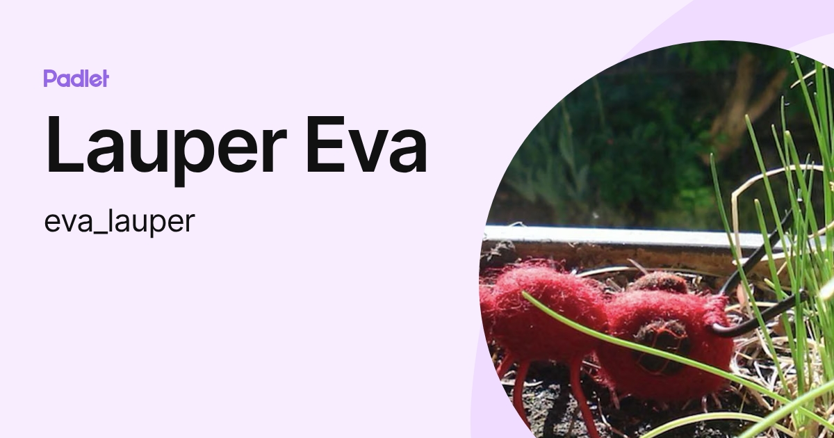 Lauper Eva (eva_lauper) profile | Padlet