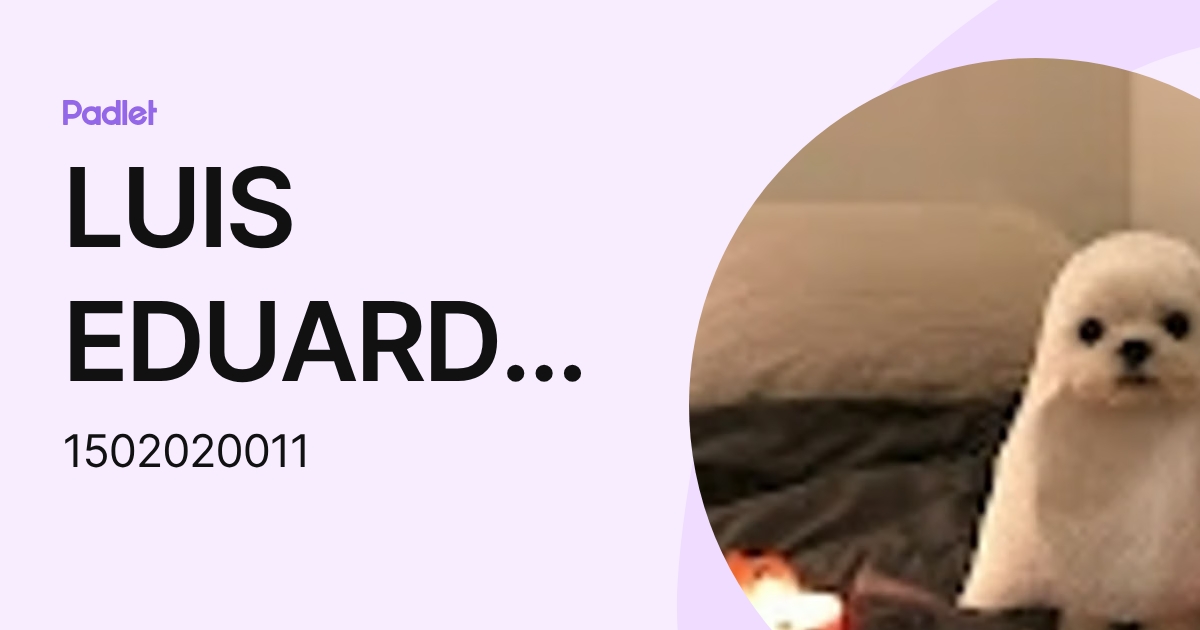 LUIS EDUARDO CASTILLO HUAMAN (1502020011) profile | Padlet