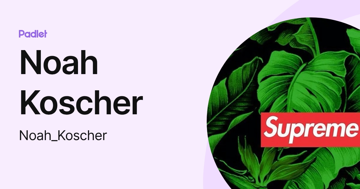 Noah Koscher (Noah_Koscher) profile | Padlet