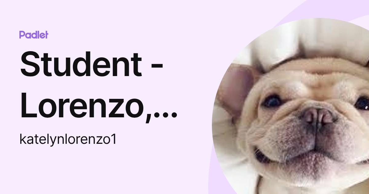 Student - Lorenzo, Katelyn M. (katelynlorenzo) profile | Padlet