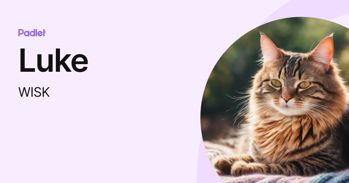 Luke (WISK) profile | Padlet