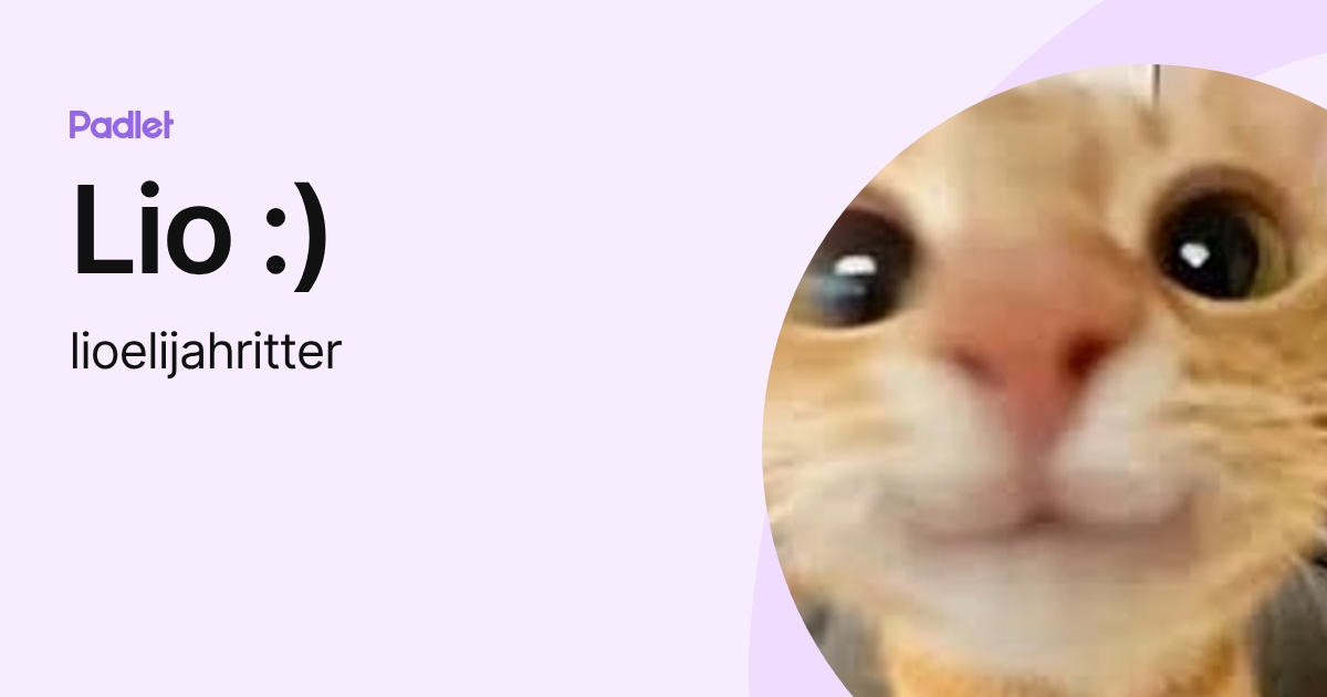 Lio :) (lioelijahritter) profile | Padlet