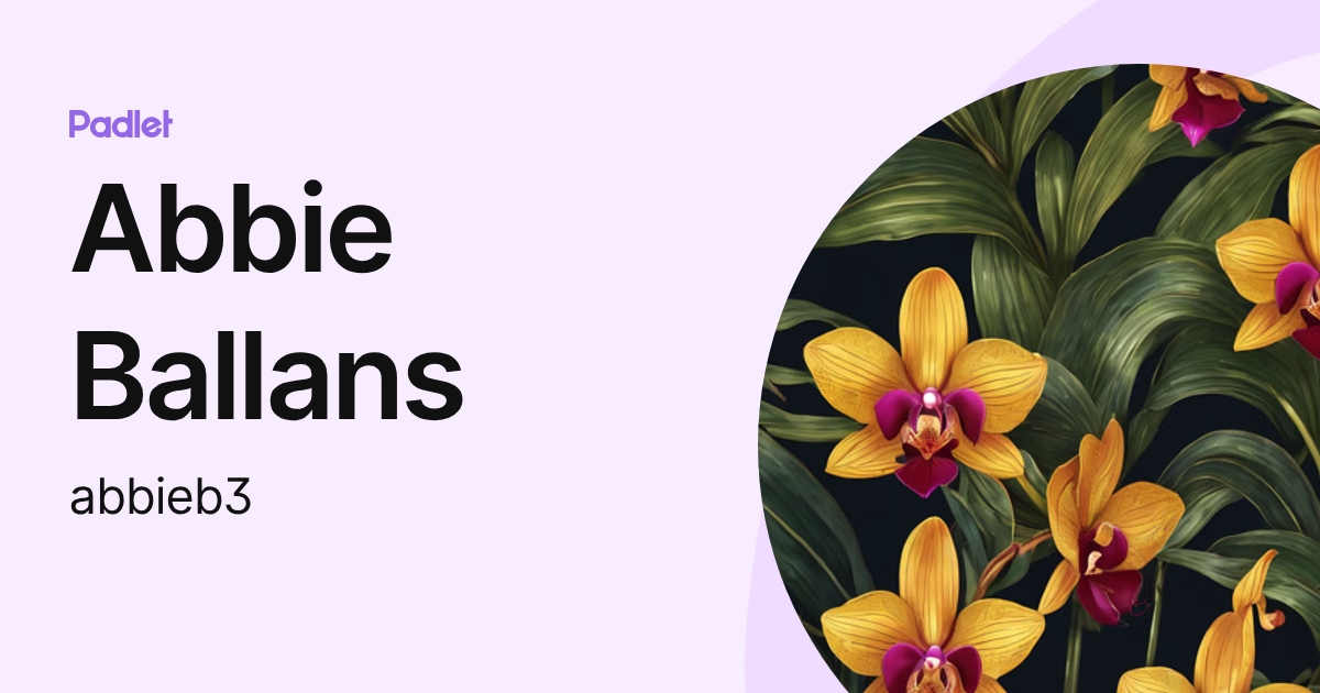 Abbie Ballans (abbieb3) profile | Padlet