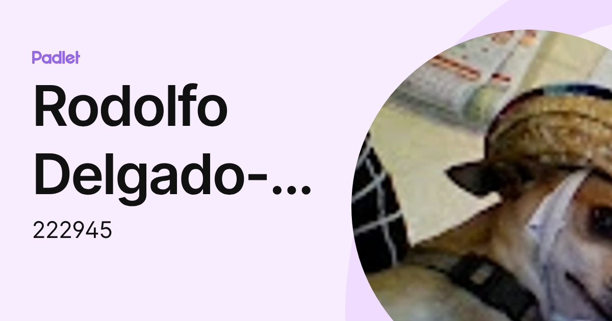 Rodolfo Delgado-Lopez (222945) profile | Padlet