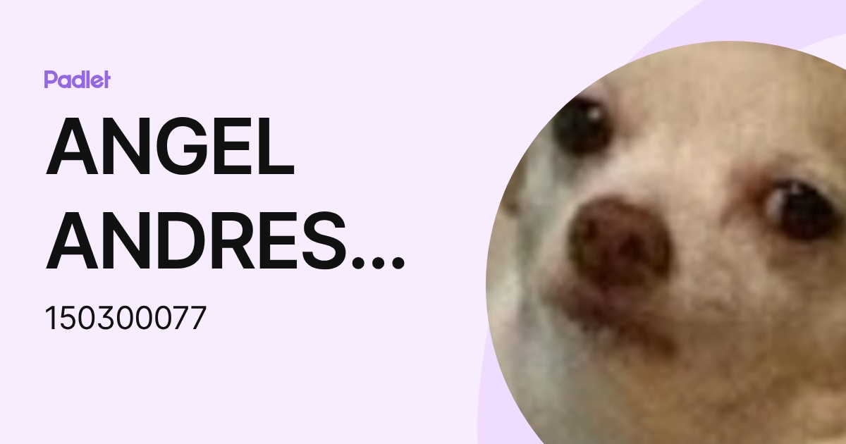 ANGEL ANDRES AGUILAR PALALICO (150300077) profile | Padlet
