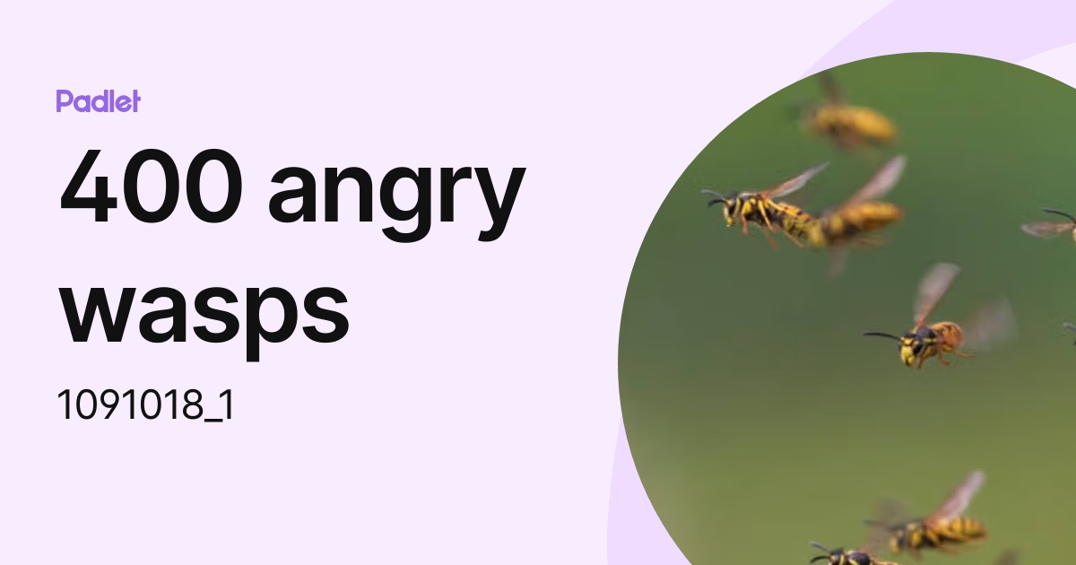 Jacob Rangel-Benitez (1091018_1) profile | Padlet