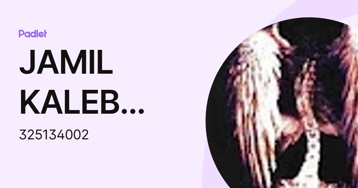 JAMIL KALEB FIGUEROA YAÑEZ (325134002) profile | Padlet