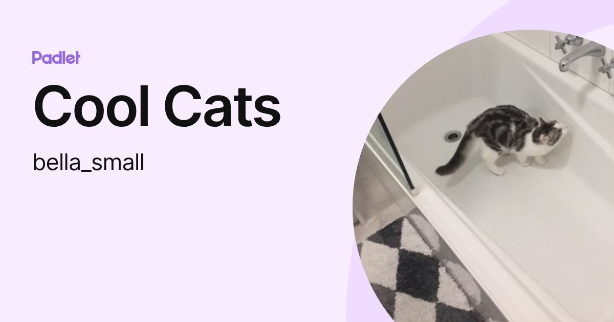 Cool Cats (bella_small) profile | Padlet