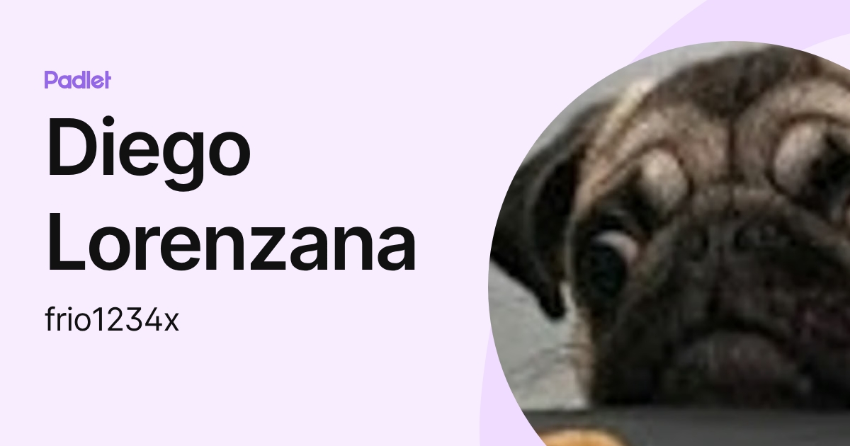 Diego Lorenzana (frio1234x) profile | Padlet