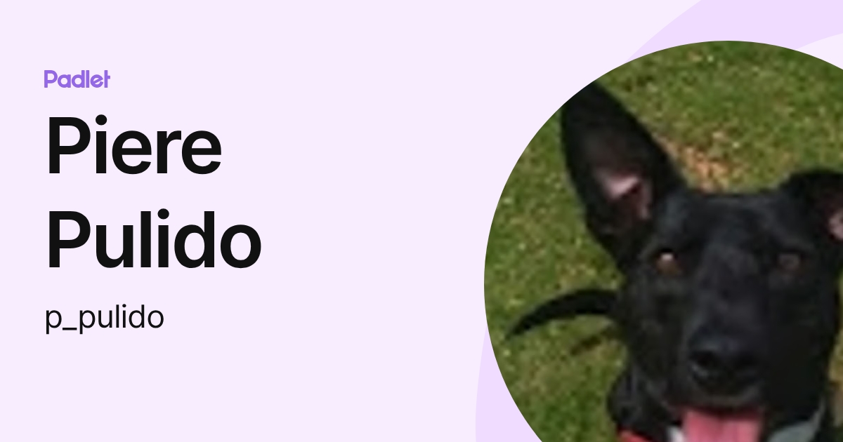 Piere Pulido (p_pulido) profile | Padlet