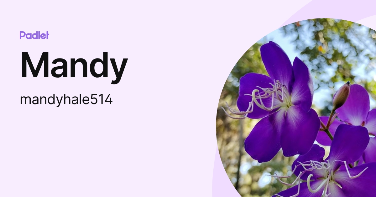 Mandy (mandyhale514) profile | Padlet