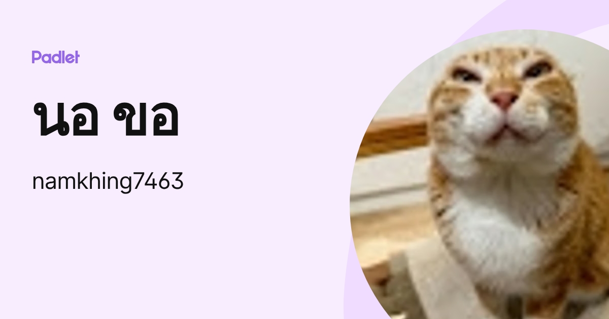 นอ ขอ (namkhing7463) profile | Padlet