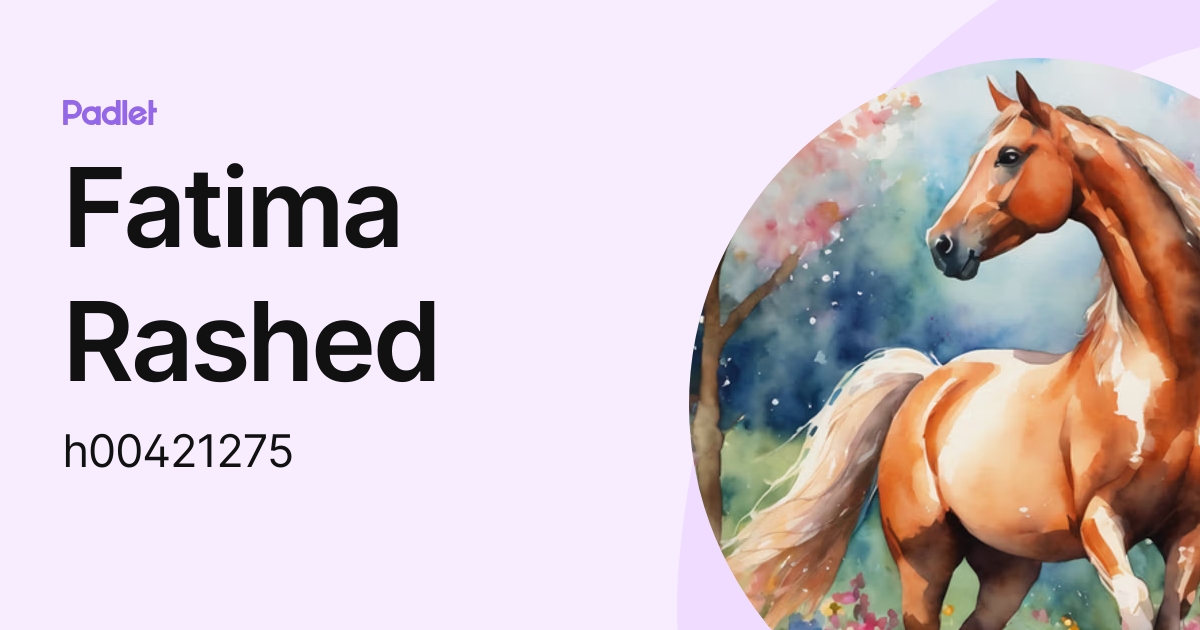 Fatima Rashed (h00421275) profile | Padlet