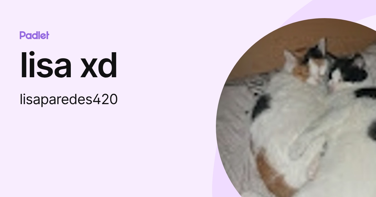 lisa xd (lisaparedes420) profile | Padlet