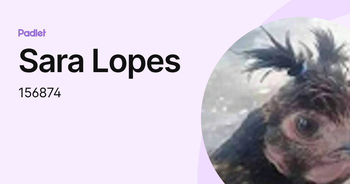 Sara Lopes (156874) profile | Padlet