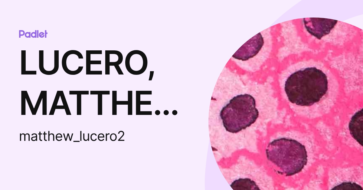 LUCERO, MATTHEW R (matthew_lucero2) profile | Padlet
