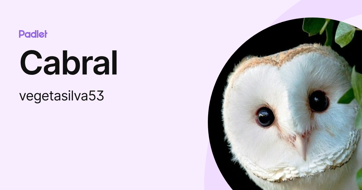 Cabral (vegetasilva53) profile | Padlet