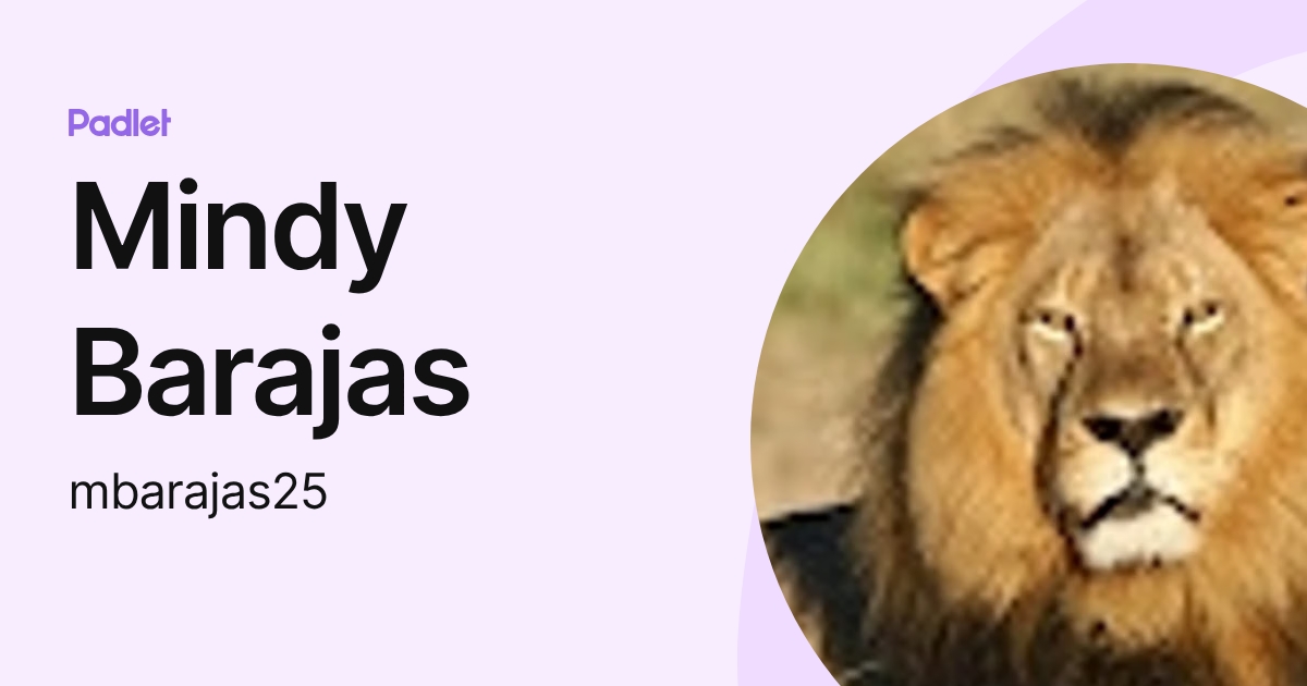 Mindy Barajas (mbarajas25) profile | Padlet