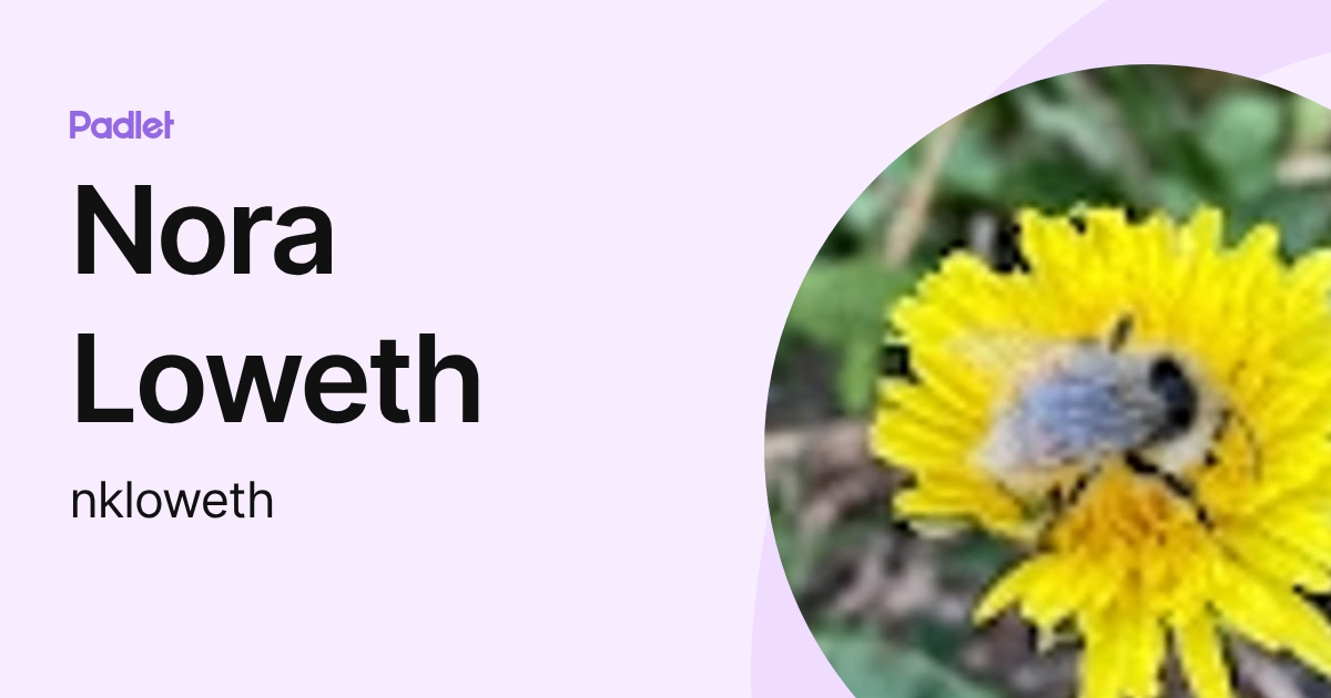 Nora Loweth (nkloweth) profile | Padlet