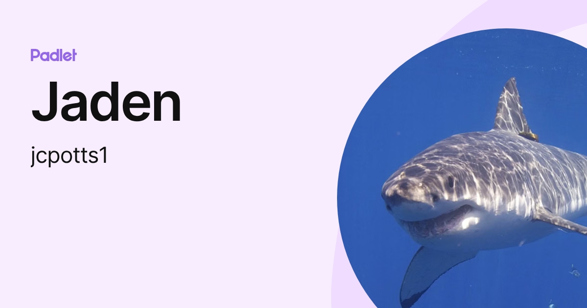 Jaden (jcpotts1) profile | Padlet