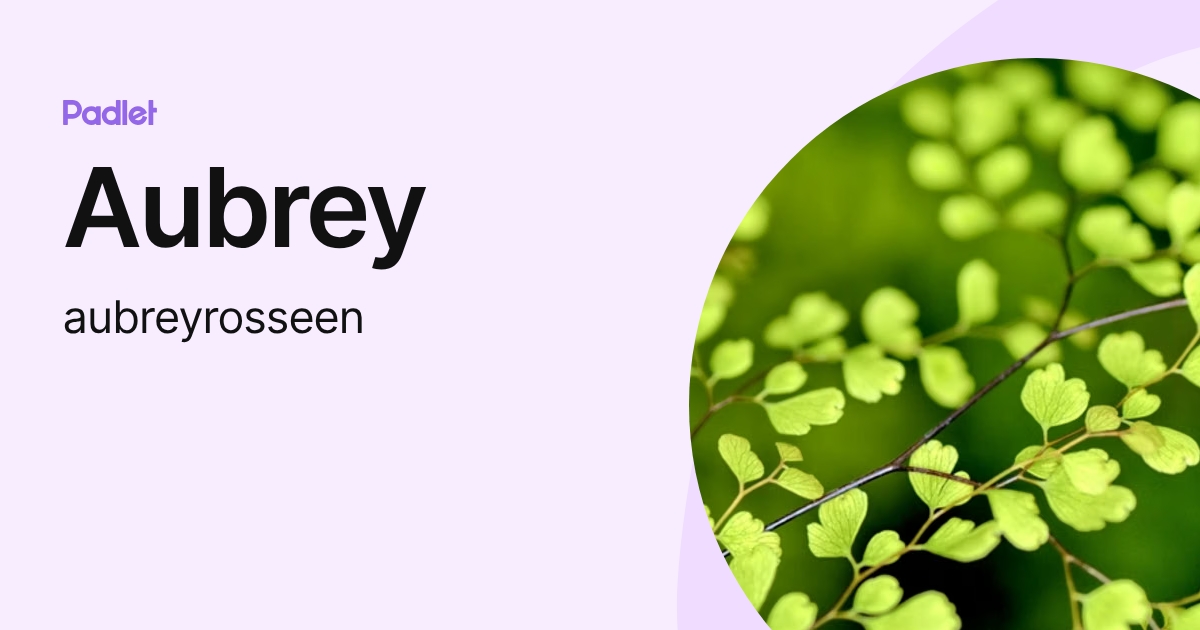 Aubrey (aubreyrosseen) profile | Padlet