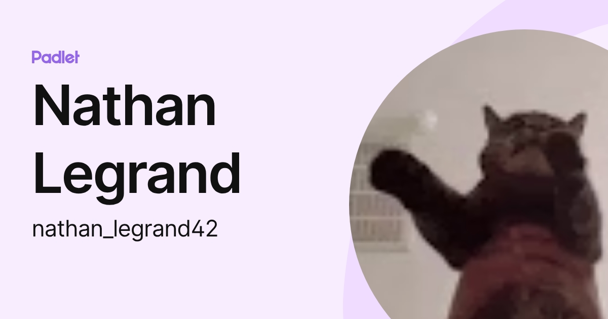 Nathan Legrand (nathan_legrand42) profile | Padlet