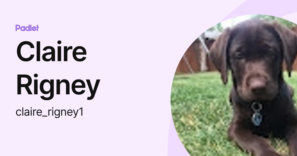 Claire Rigney (claire_rigney1) profile | Padlet