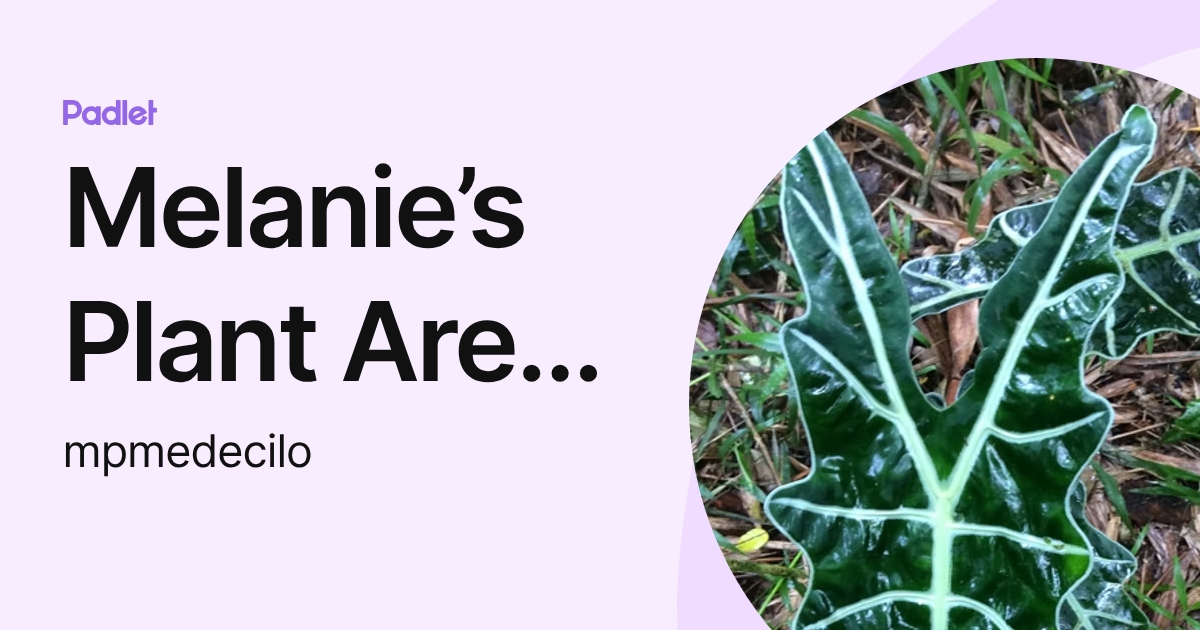 Melanie’s Plant Area PH (mpmedecilo) profile | Padlet
