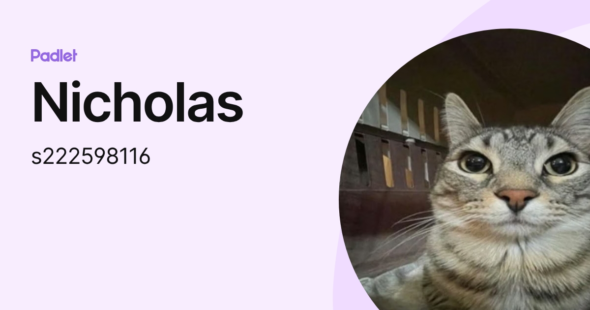 Nicholas (s222598116) profile | Padlet