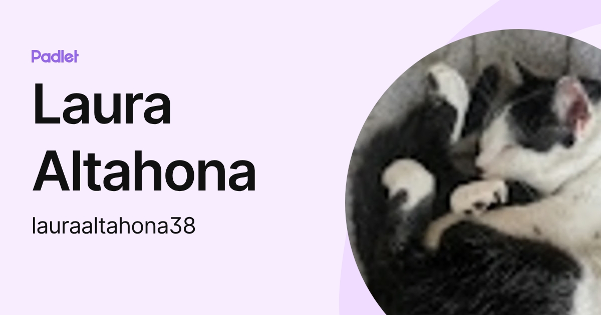 Laura Altahona (lauraaltahona38) profile | Padlet