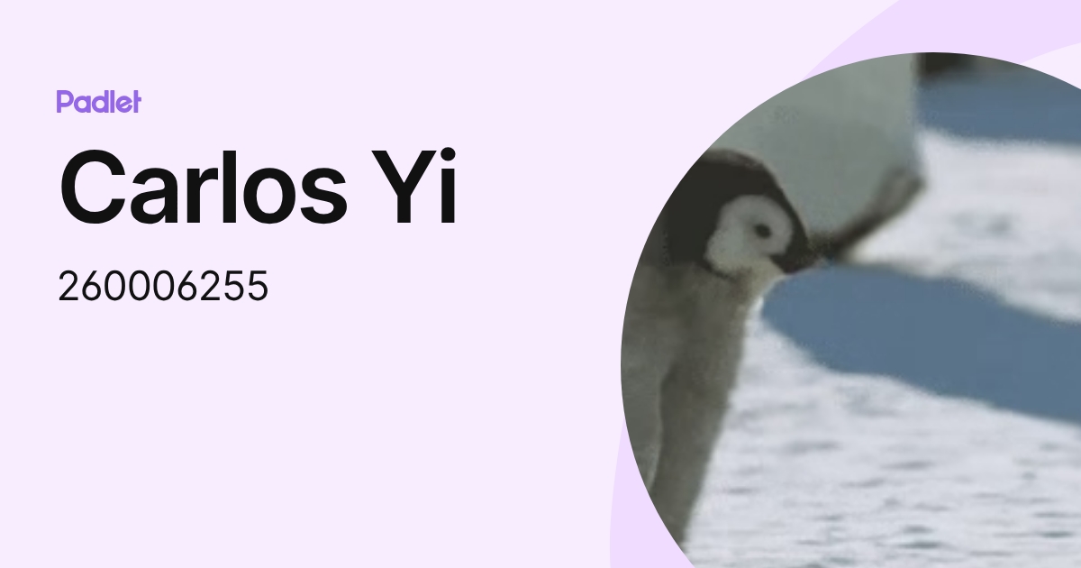 Carlos Yi (260006255) profile | Padlet