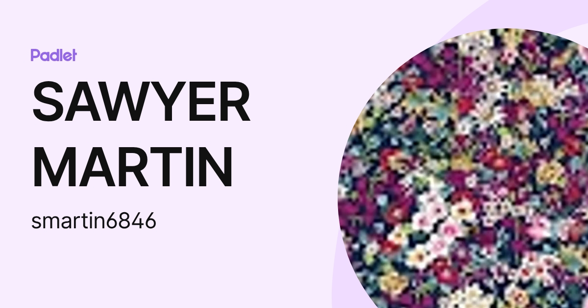 SAWYER MARTIN (smartin6846) profile | Padlet