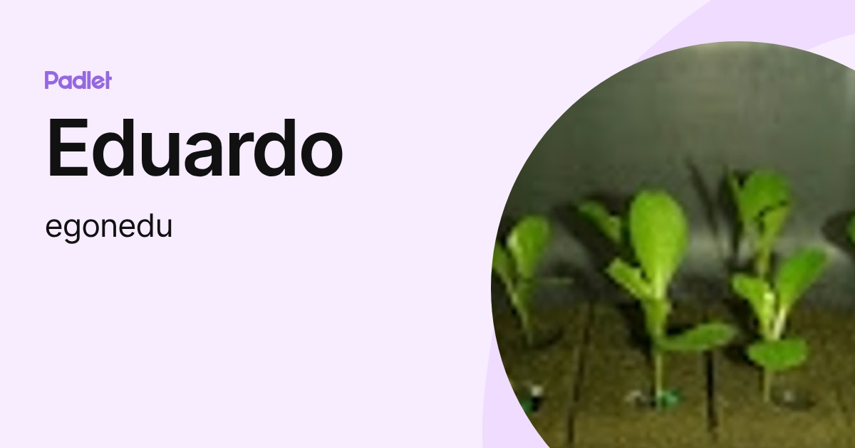 Eduardo (egonedu) profile | Padlet