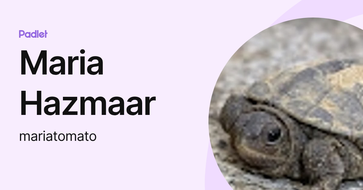 Maria Hazmaar (mariatomato) profile | Padlet