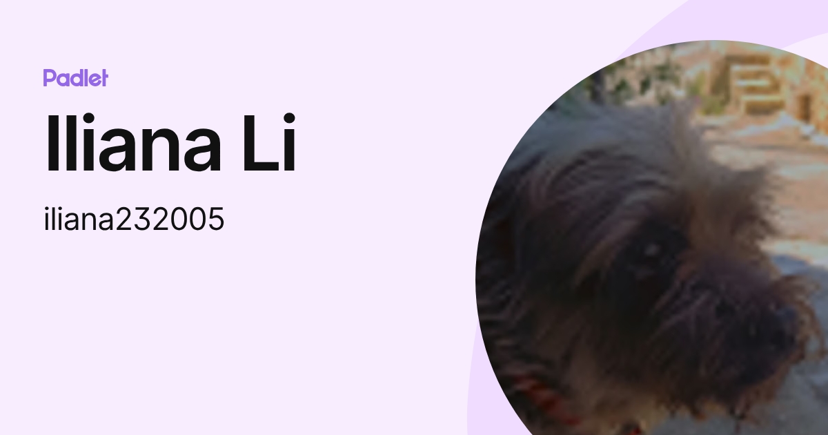Iliana Li (iliana232005) profile | Padlet