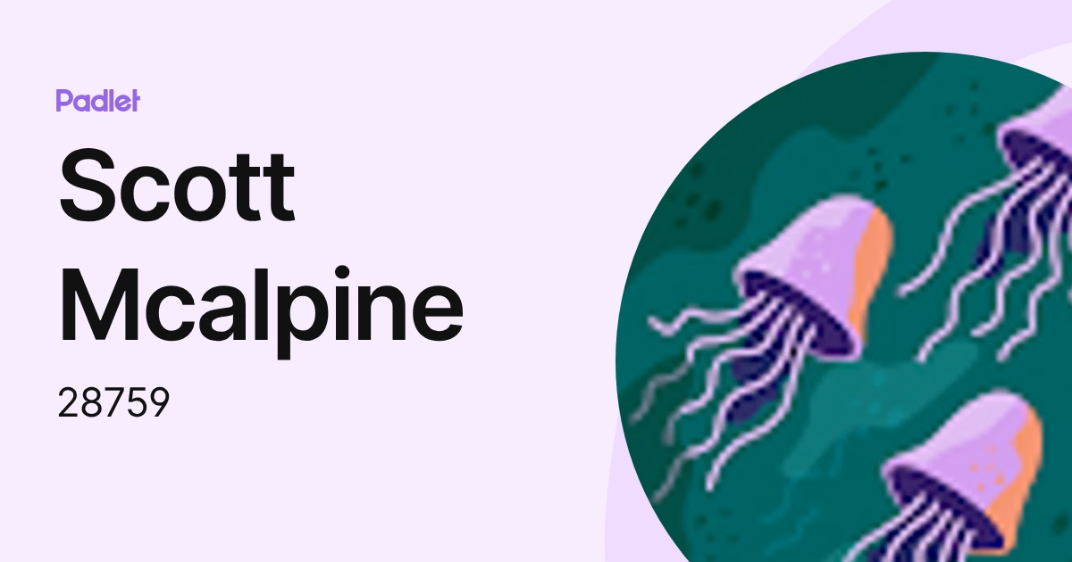 Scott Mcalpine (28759) profile | Padlet