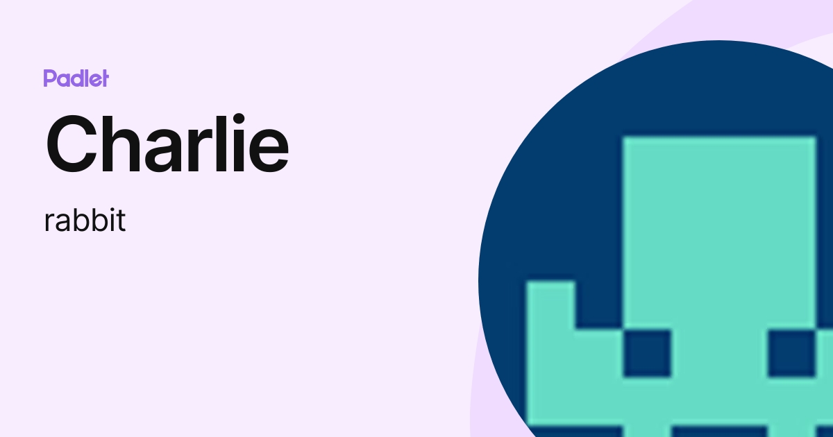 Charlie (rabbit) profile | Padlet