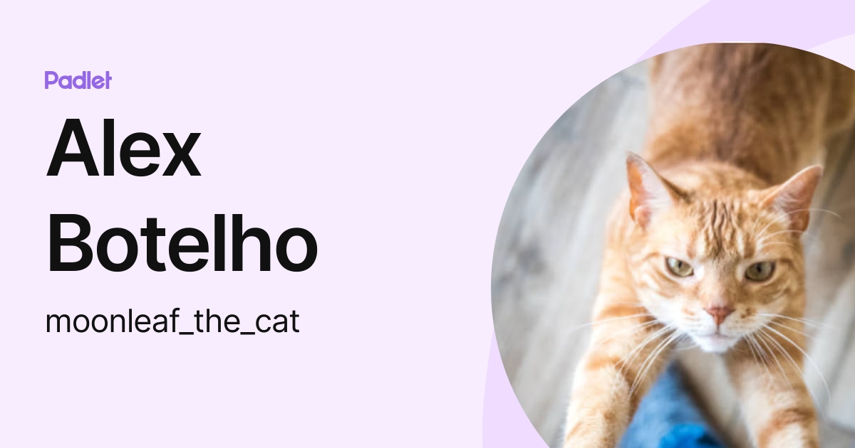 Alex Botelho (moonleaf_the_cat) profile | Padlet