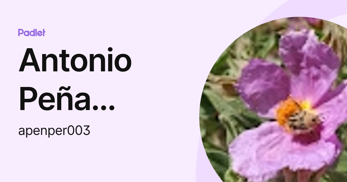 Antonio Peña Pérez (apenper003) profile | Padlet
