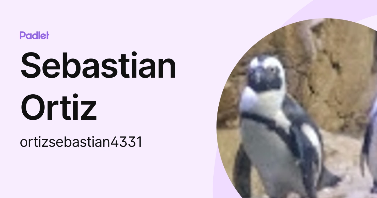 Sebastian Ortiz (ortizsebastian4331) profile | Padlet