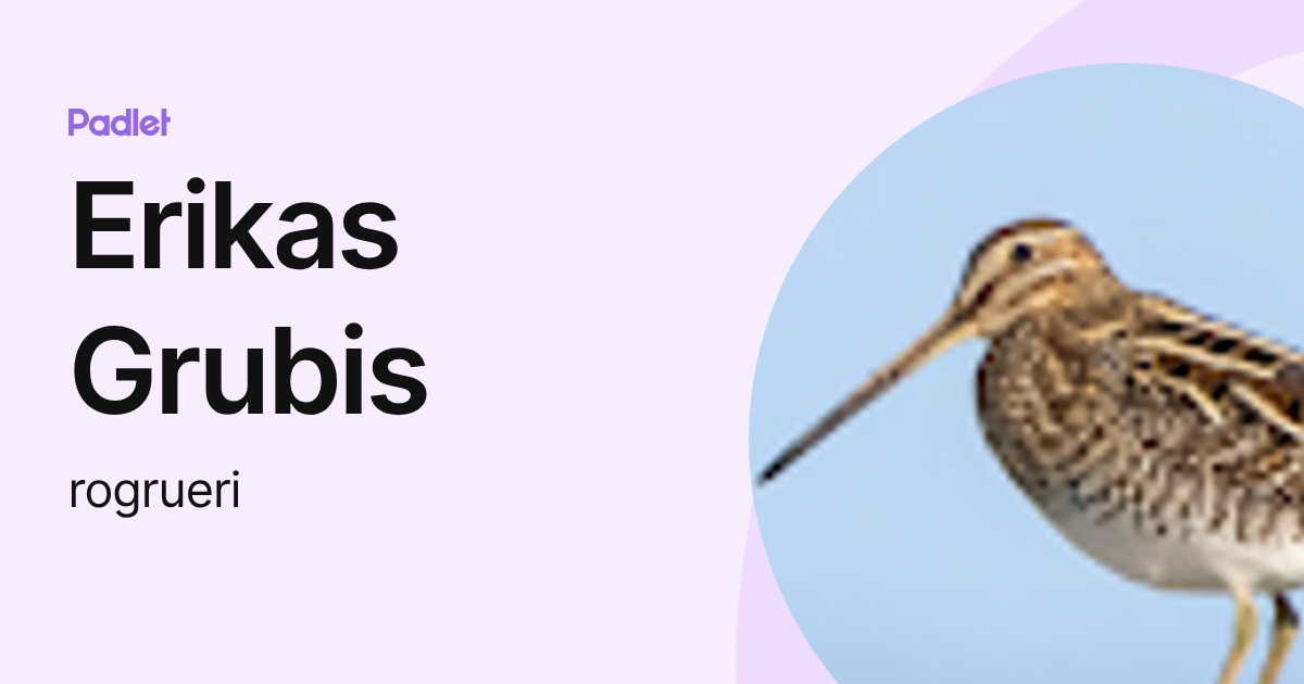 Erikas Grubis (rogrueri) profile | Padlet