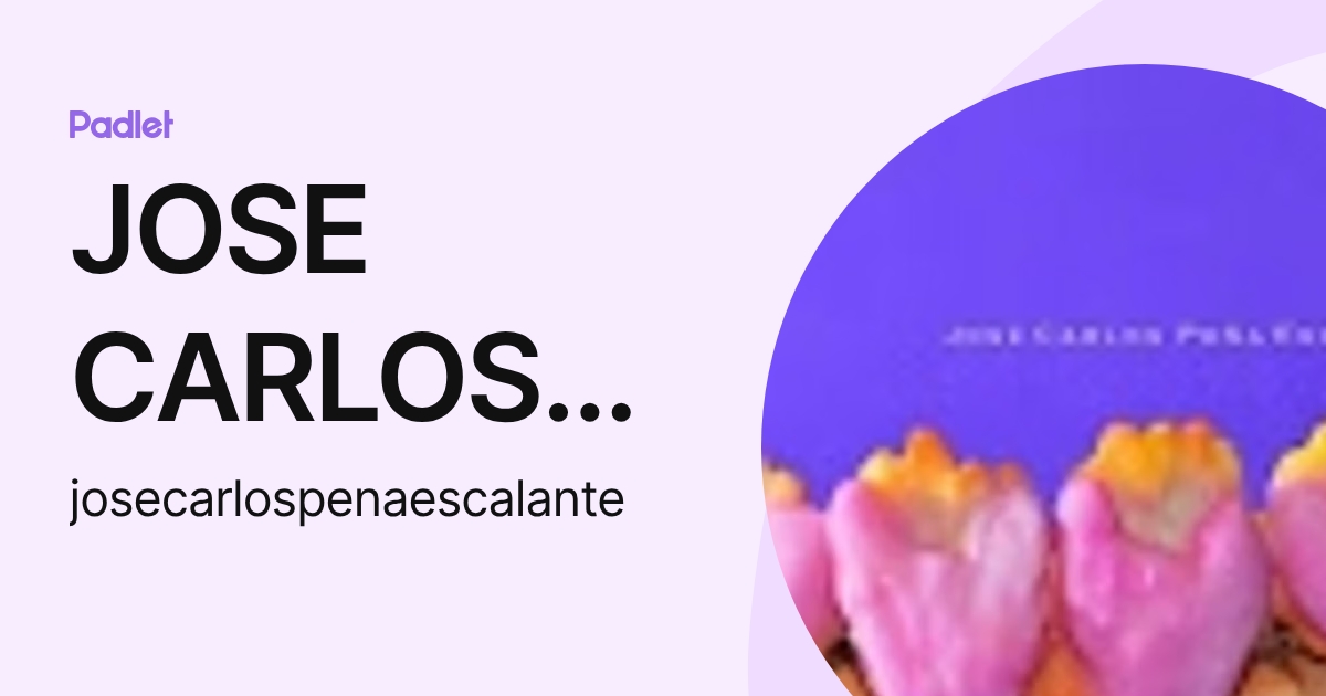JOSE CARLOS PEÑA ESCALANTE (josecarlospenaescalante) profile | Padlet