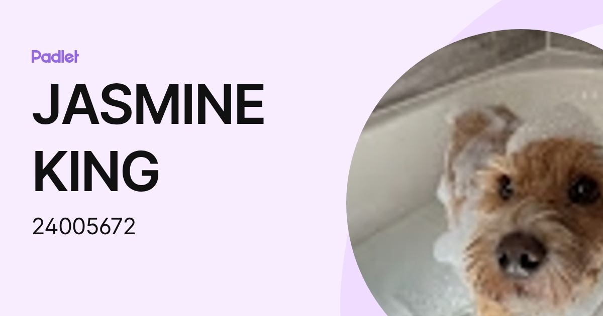 JASMINE KING (24005672) profile | Padlet