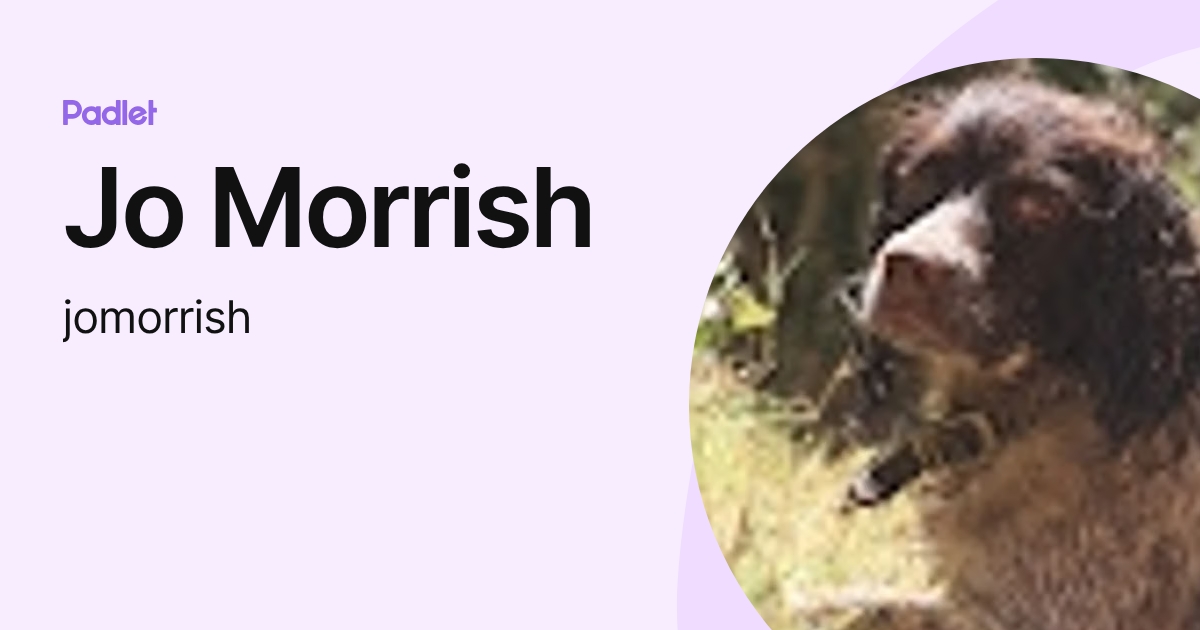 Jo Morrish (jomorrish) profile | Padlet