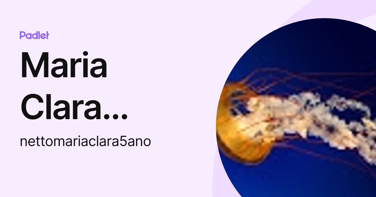 Maria Clara Netto Maia (nettomariaclara5ano) profile | Padlet