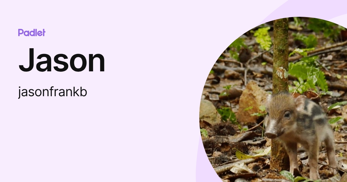 Jason (jasonfrankb) profile | Padlet