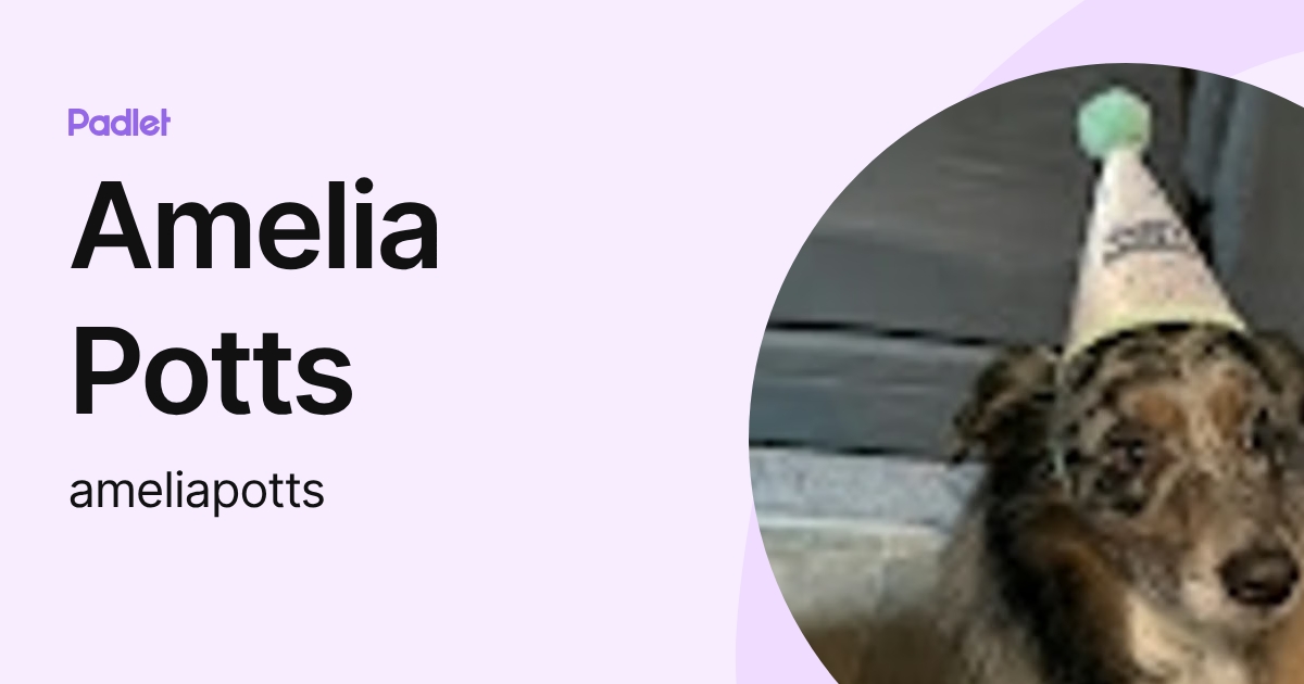 Amelia Potts (ameliapotts) profile | Padlet