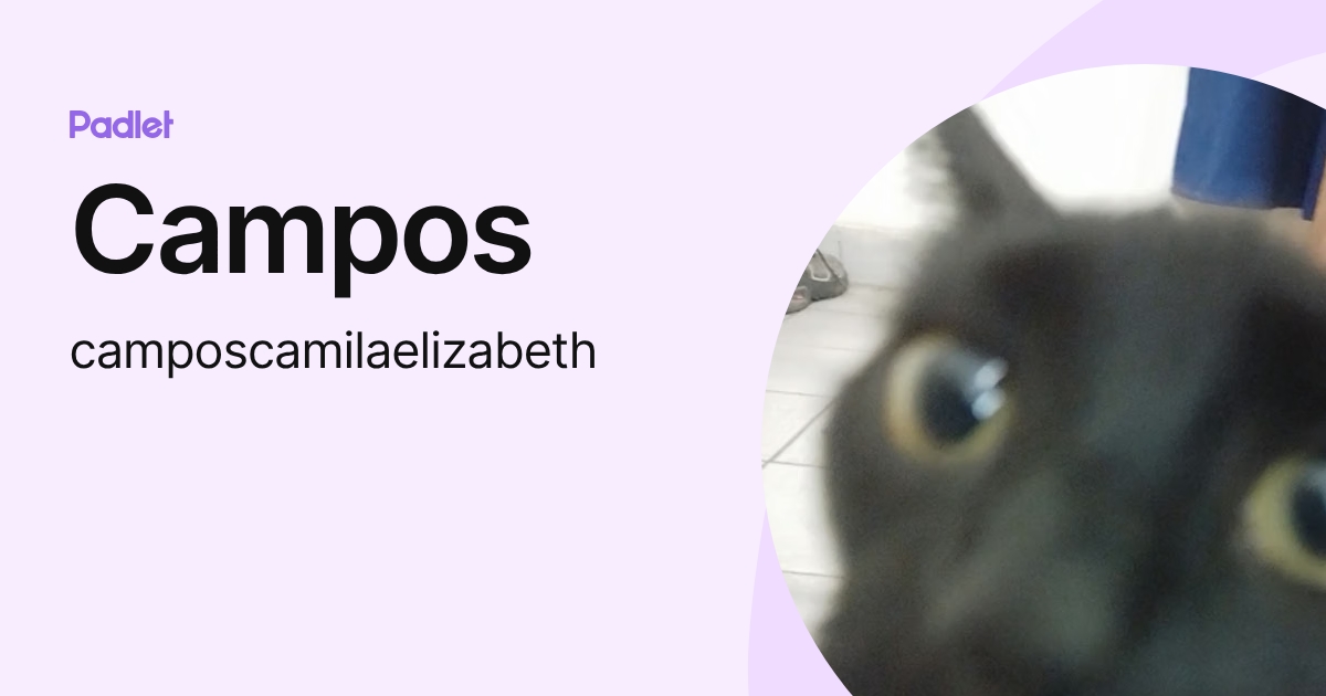 Campos (camposcamilaelizabeth) profile | Padlet