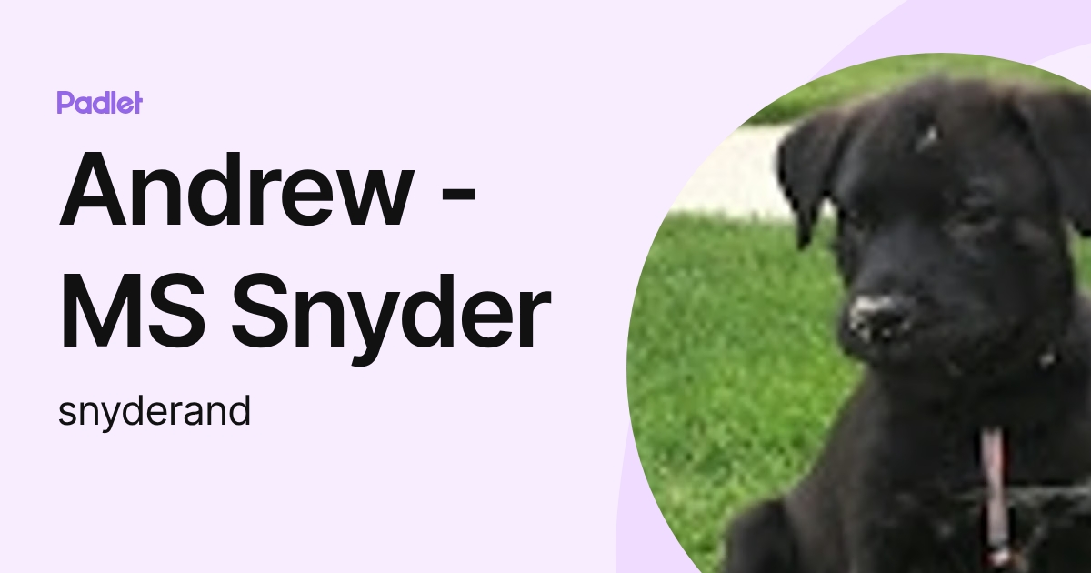 Andrew - MS Snyder (snyderand) profile | Padlet